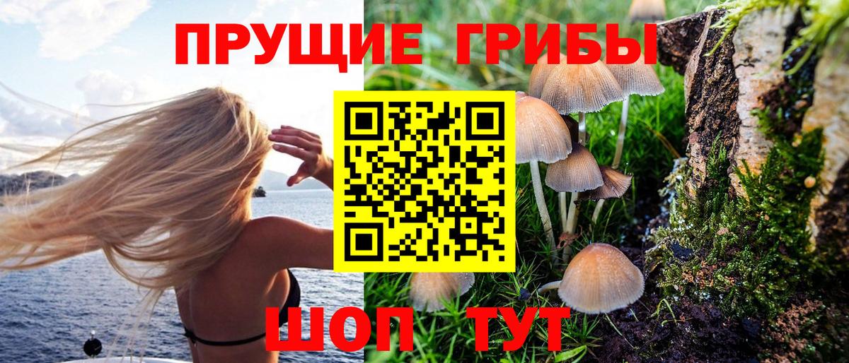 Лесной  Псилоцибиновые грибы мухоморы  Вход с VPN  Галлюциногенные грибы ЛСД 