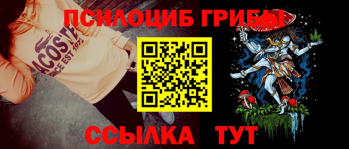 Псилоцибиновые грибы мицелий Лесной